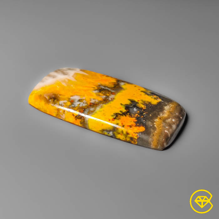 Bumble Bee Jasper