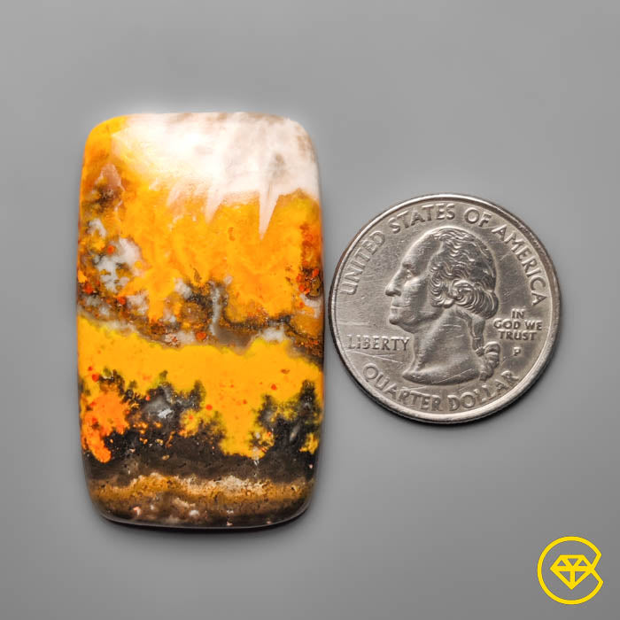 Bumble Bee Jasper