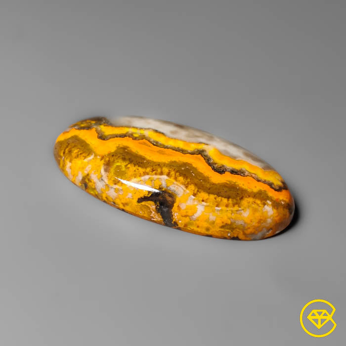Bumble Bee Jasper