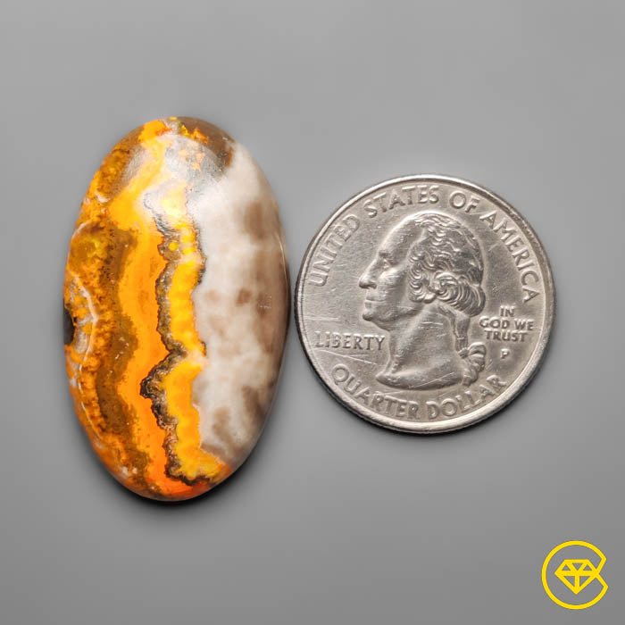 Bumble Bee Jasper