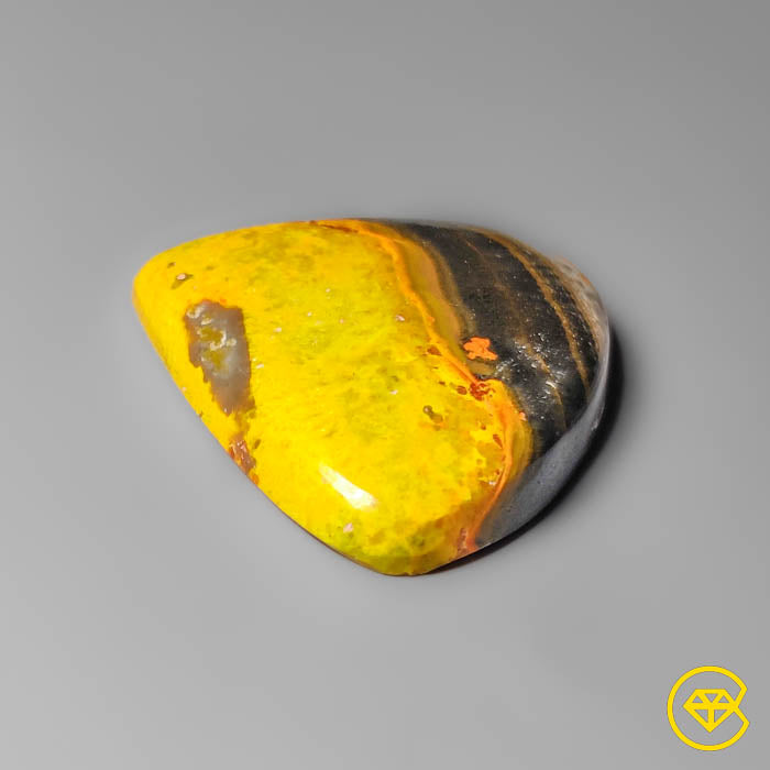 Bumble Bee Jasper