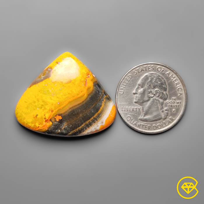 Bumble Bee Jasper