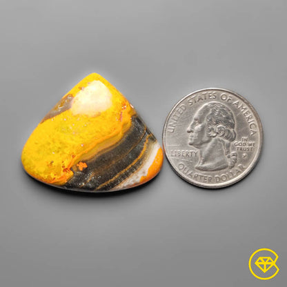 Bumble Bee Jasper