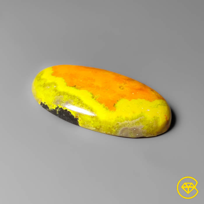 Bumble Bee Jasper