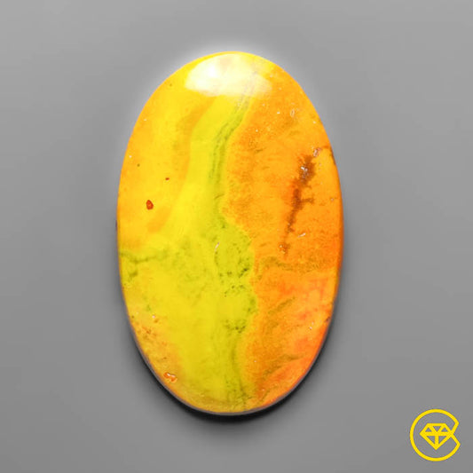 Bumble Bee Jasper