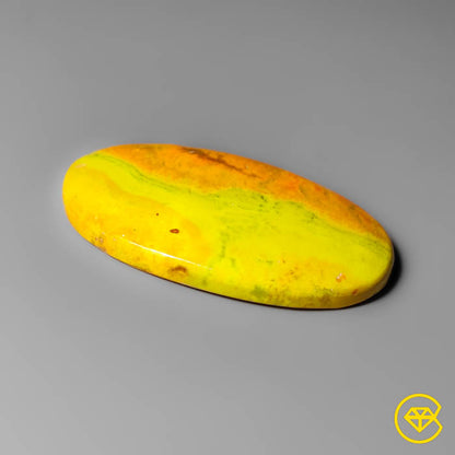Bumble Bee Jasper
