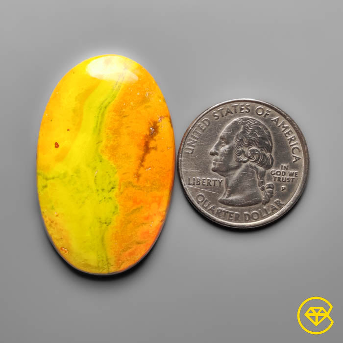 Bumble Bee Jasper