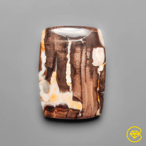 19 ct Peanut Wood Jasper Cabochon 25X18X4 mm From Kennedy Range