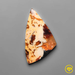 17 ct Peanut Wood Jasper Cabochon 33X19X4 mm From Kennedy Range