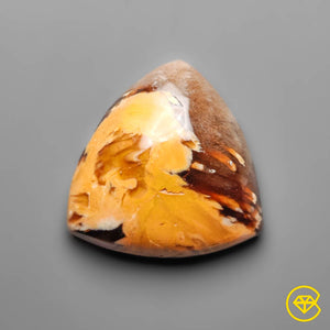 16 ct Peanut Wood Jasper Cabochon 19X19X6 mm From Kennedy Range