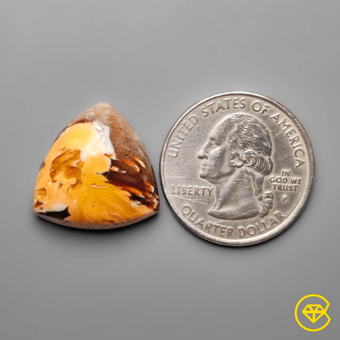 Peanut Wood Jasper