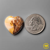 Peanut Wood Jasper
