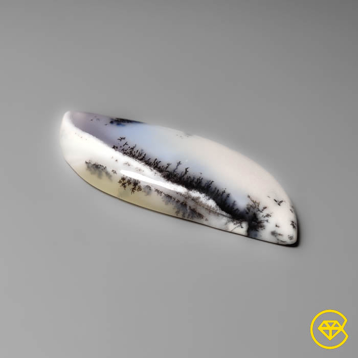 Dendritic Agate