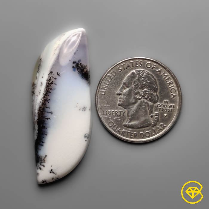 Dendritic Agate
