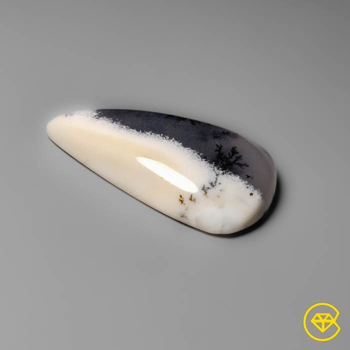 Dendritic Agate