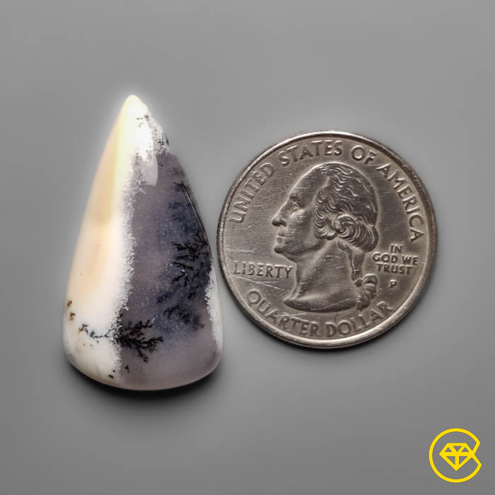 Dendritic Agate
