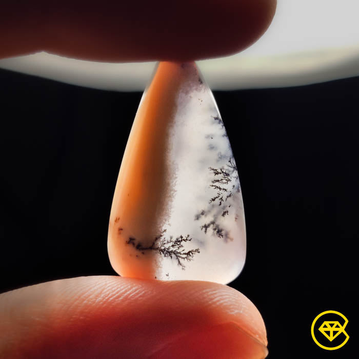Dendritic Agate