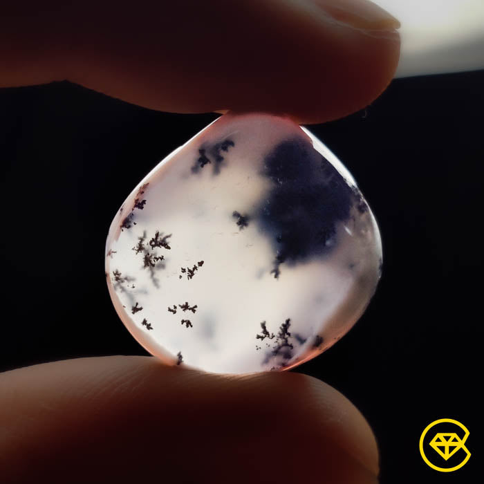 Dendritic Agate