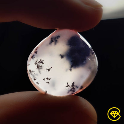 Dendritic Agate