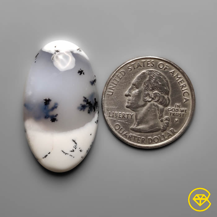 Dendritic Agate