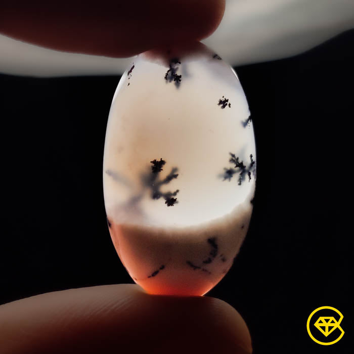 Dendritic Agate