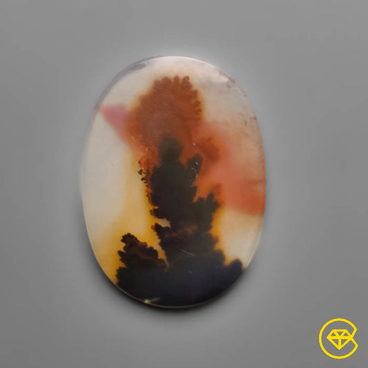 Scenic Agate