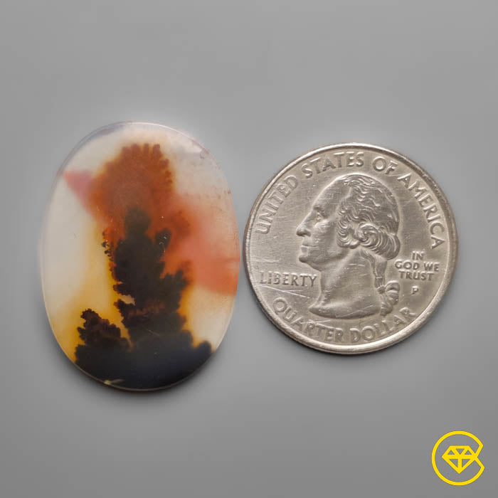 Scenic Agate