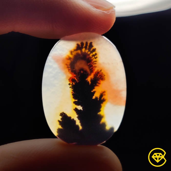Scenic Agate
