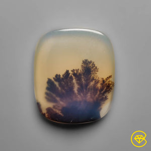 8 ct Tree Agate Cabochon 18X15X4 mm From India