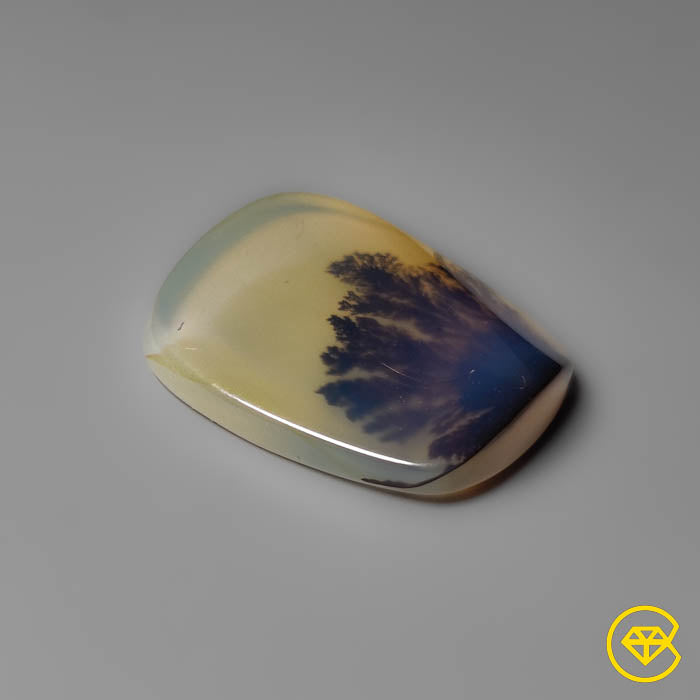 Tree Agate