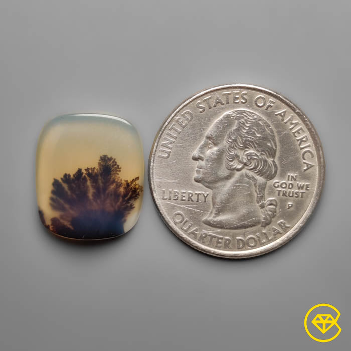 Tree Agate