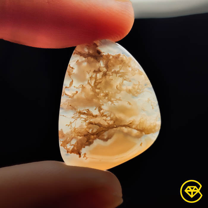 Moss Agate