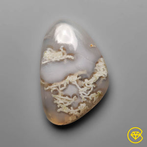 17 ct White Horse Canyon Moss Agate 24X15X5 mm From Brazil