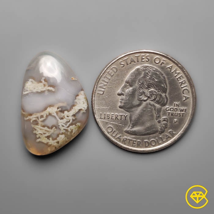 Moss Agate