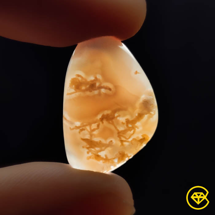 Moss Agate