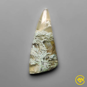 10 ct White Horse Canyon Moss Agate 28X13X4 mm From Brazil