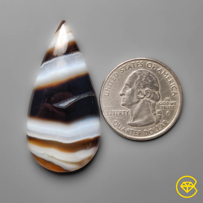 Tuxedo Agate