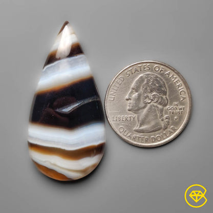 Tuxedo Agate