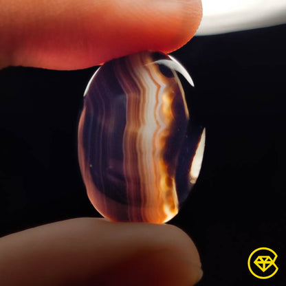 Tuxedo Agate