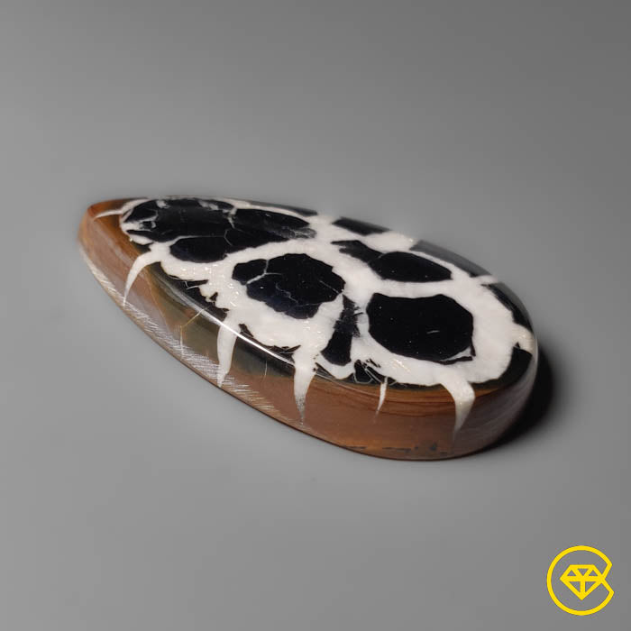 Septarian