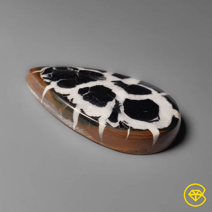 Septarian