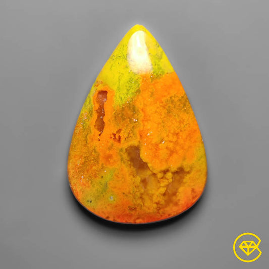 Bumble Bee Jasper