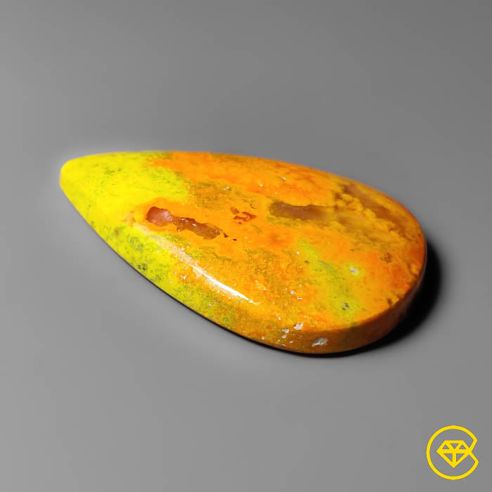 Bumble Bee Jasper
