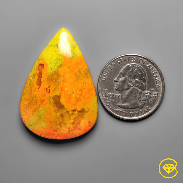 Bumble Bee Jasper