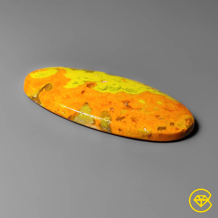 Bumble Bee Jasper
