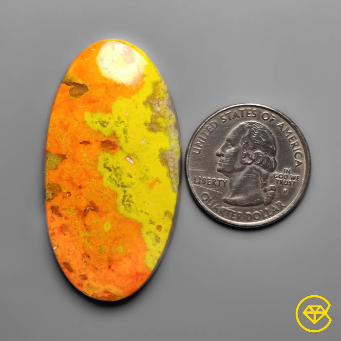 Bumble Bee Jasper