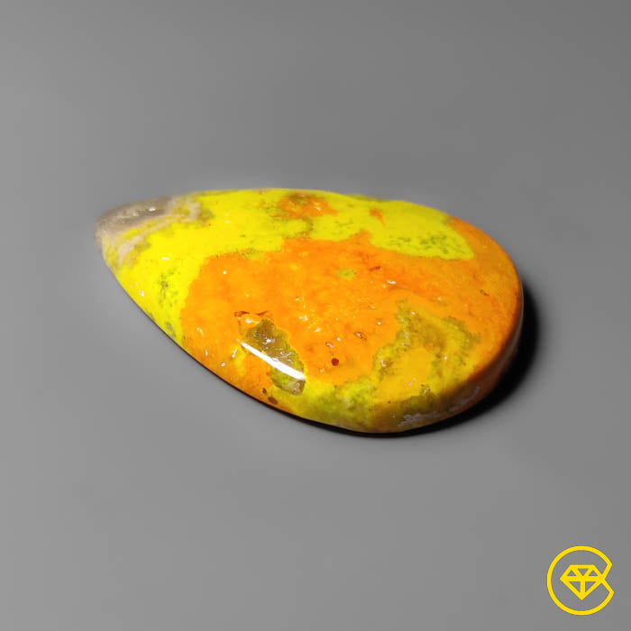 Bumble Bee Jasper
