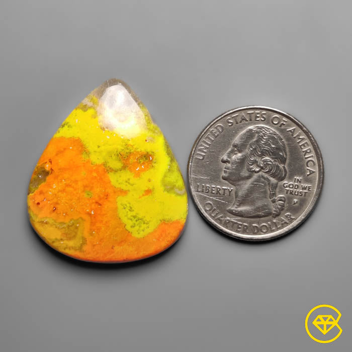 Bumble Bee Jasper