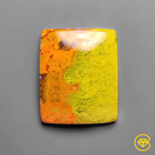 Bumble Bee Jasper