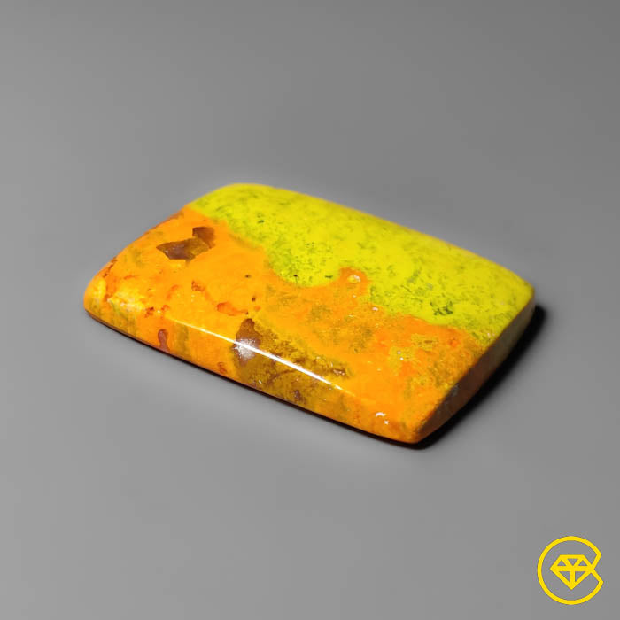 Bumble Bee Jasper